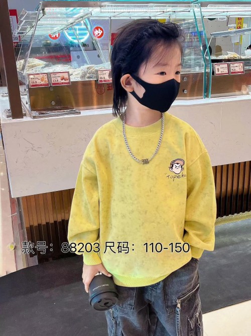 childrens/boy  sweatshirt